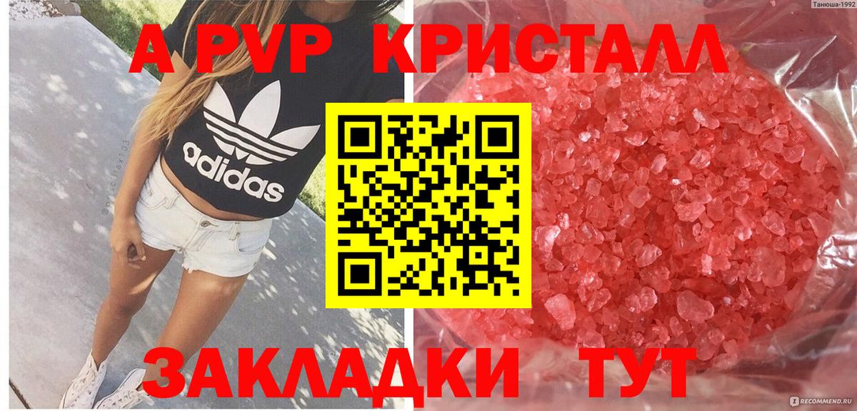 A PVP СК КРИС Дубна