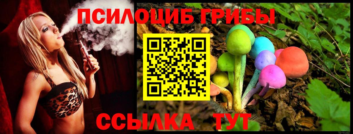 Галлюциногенные грибы Magic Shrooms  Псилоцибиновые грибы Psilocybine cubensis  Дубна  Вход с VPN 